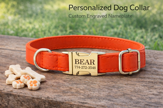 Engraved leather/ metal dog collar
